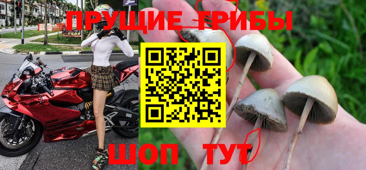 Галлюциногенные грибы GOLDEN TEACHER Советский